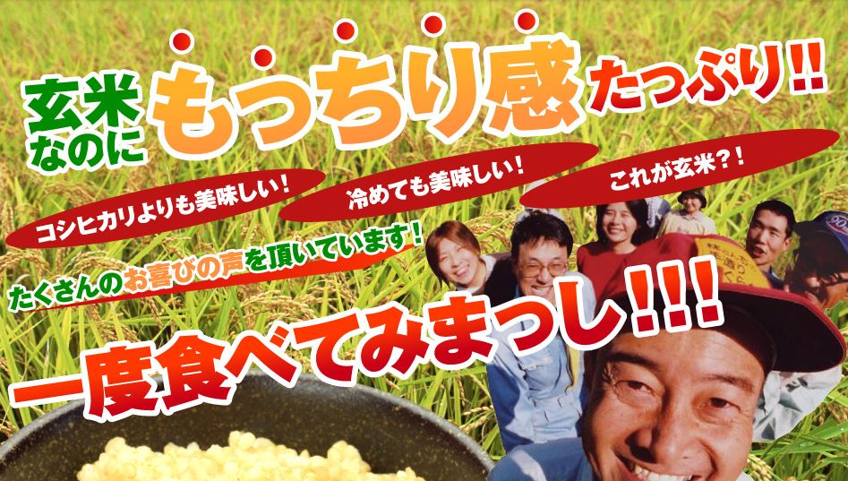 女王さまミルキークィーン【玄米5kg】 | 林さんちweb通販